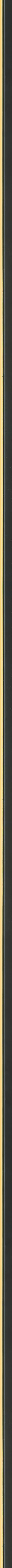 Λεπτή μαύρη κορνίζα με χρυσή ρίγα frame