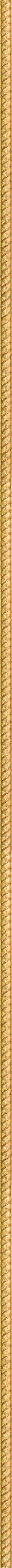 Σκαλιστή λεπτή κορνίζα με φύλλο χρυσού frame